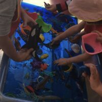 3D4F8322-34FB-4F5D-96B4-10BFB38B34DF