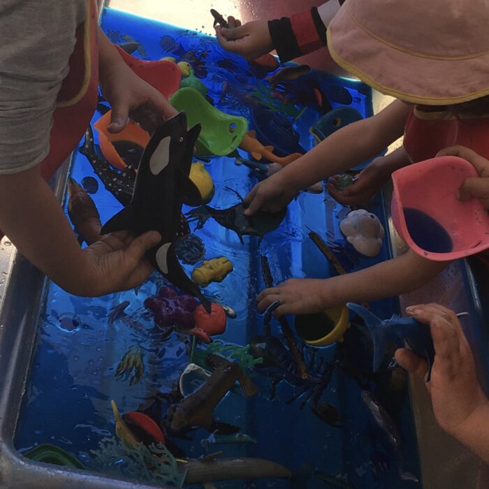 3D4F8322-34FB-4F5D-96B4-10BFB38B34DF